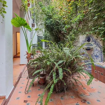 Susona - Oasis De Paz En Barrio Santa Cruz شقة *